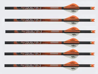 RAVIN - .003 ARROWS