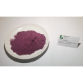 European Bilberry Extract Whortleberry Anthocyanidins