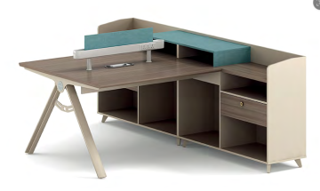 Face-to-Face Steel Frame 2-Person Office Workstation