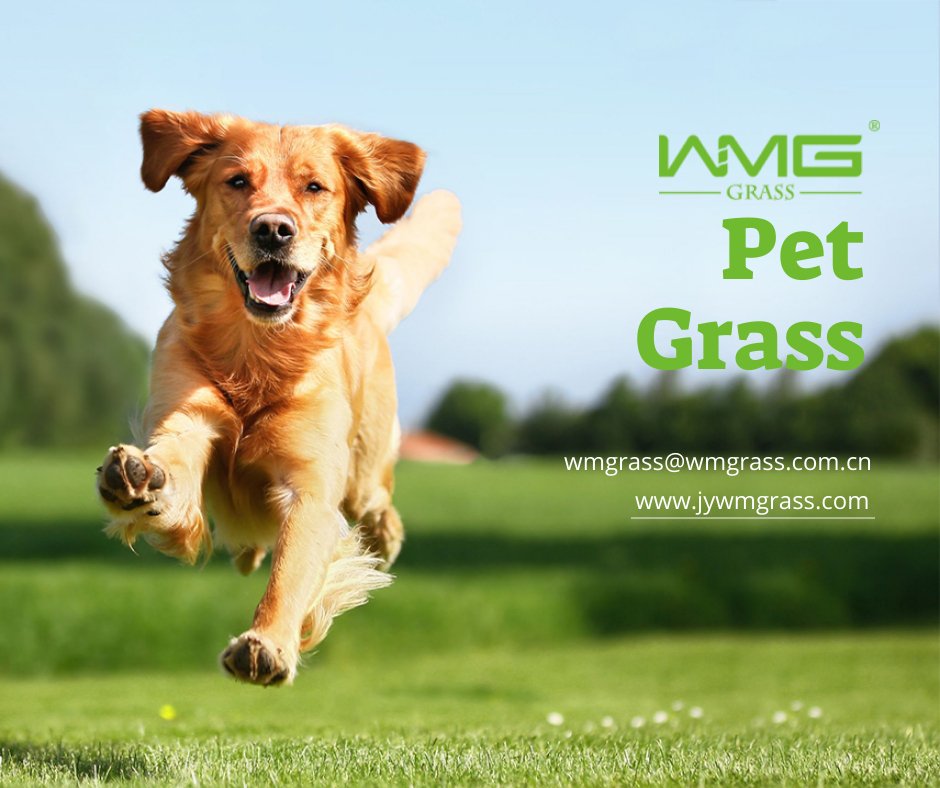 artifical grass for pet