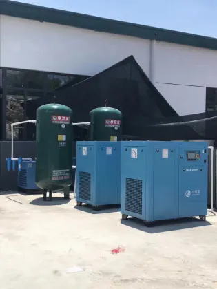 Hanbell Brand WZS Screw Air Compressor for Industrial Equipment