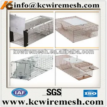 Foldable metal wire rat trap cage in China.