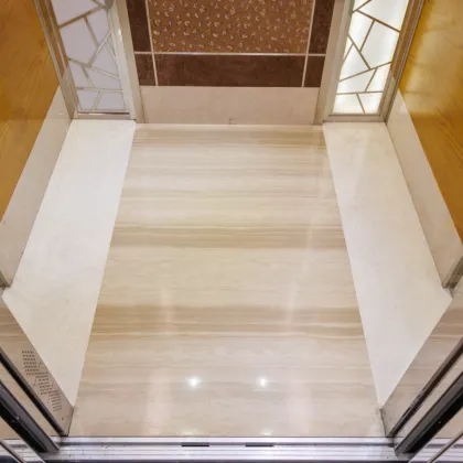 APSL Irregular Golden Stitching Passenger Elevator