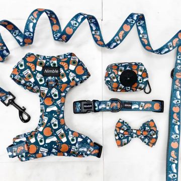 Flinkes Luxus -Neopren -Hundekabelbaum und Kragenleine mit reflektierendem Nylon