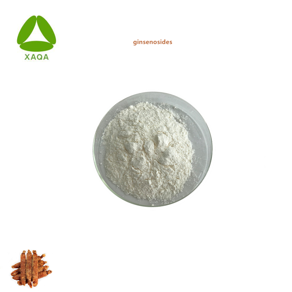 Healthcare Nature Red Ginseng Extract Ginsenosides Powder