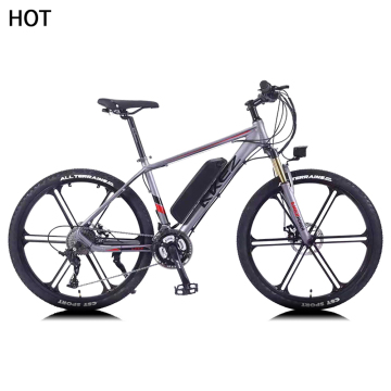 Alleato in bicicletta: sospensione completa 48V 750W Pneumatico grasso Ebike G510 Drive