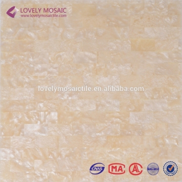 Guangdong Hot Sale Shaped Sea Shell Mosaic Tiles 300*300mm for Wall Tiles/Background