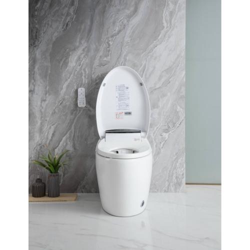 Bathroom Intelligent Toilet Electric Automatic Toilet