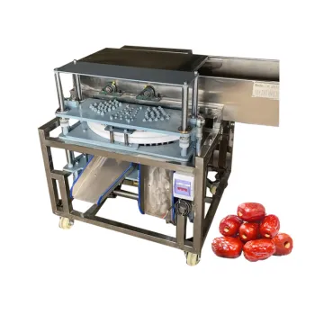 Olive Pitting Machine | Cherry Pit Remover | Plum Pitting Equipment
