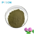 Red Clover extract 20% HPLC