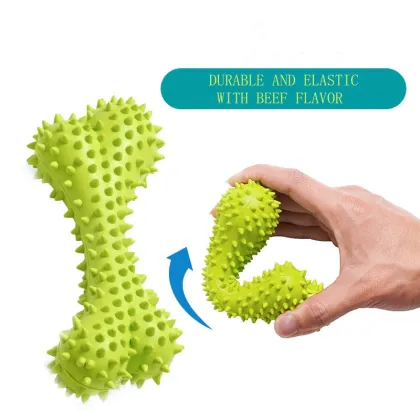 Teeth Molar Bone Toy Dog Toy Bone