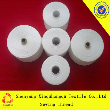 T20s/3 China High Tenacity 100% Yizheng Polyester Sewing Thread