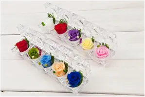 Ring box wholesale preserved flower