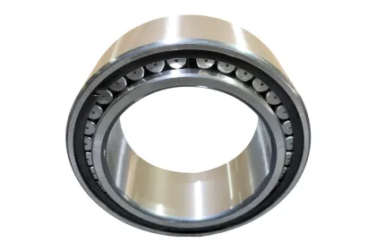 Toroidal Roller Bearing 20