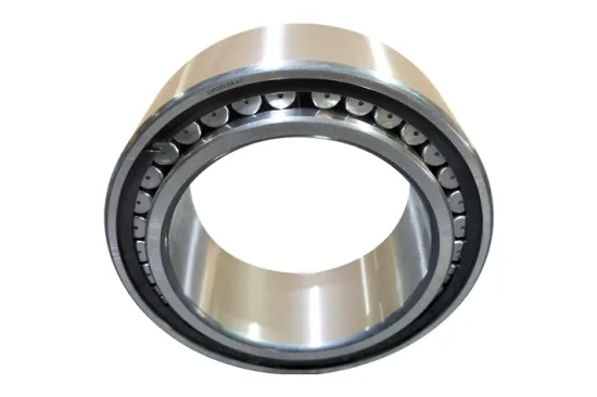 Toroidal Roller Bearing 20