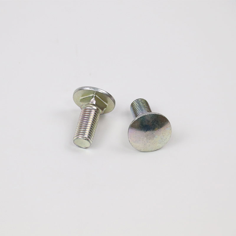 stainless steel carriage bolt with nut and washer