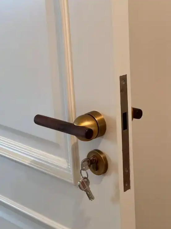 door handle4