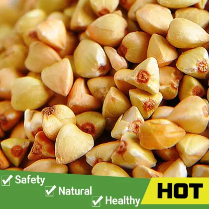 Raw sweet and bitter roasted buckwheat kernel