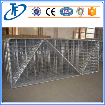 Tiêu chuẩn tạm Fencing Panel làm bằng thép mạ kẽm