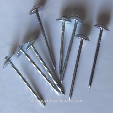 Galvanized large head nails