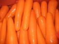 Deliciosas zanahorias frescas 150-200G