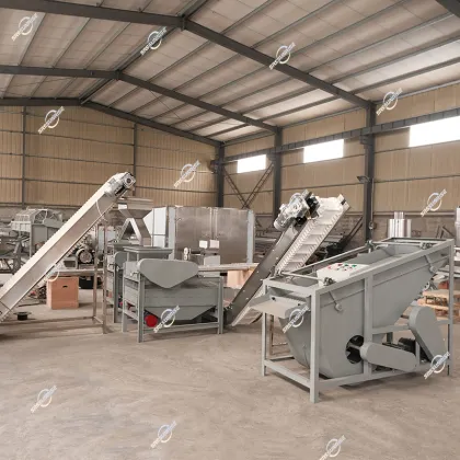 Hot Sale Automatic Nut Processing Plant Equipment: Breaking, Shelling & Cracking Machines for Hazelnuts, Pecans & Almonds
