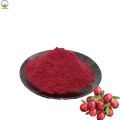 High-quality Organic Cranberry Powder