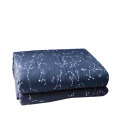 Tik Tok Hot Sell Inxiety Insomnia weighted Blanket