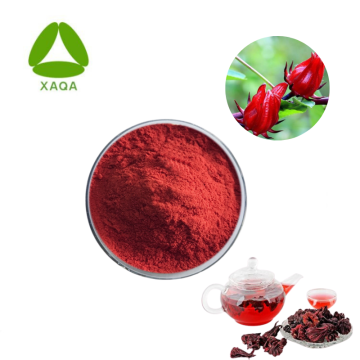 Hibiscus sabdariffa Extract Powder Hibiscus 5% Anthocyanin