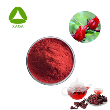 Polvo de extracto de Hibiscus sabdariffa Hibiscus 5% Antocianina