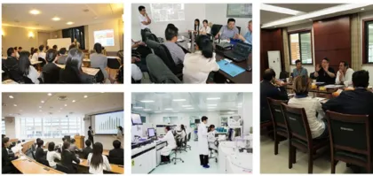 high quality food grade green Papaya concentrated powder