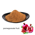 Buy online ingredients organic pomegranate fruit powder