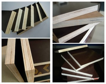Shuttering Plywood