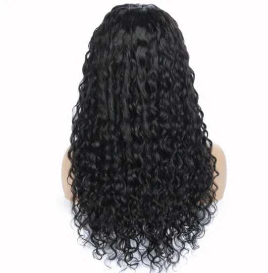 Wholesale Swiss Lace Brazilian Hair Wigs 5*5  Water Wave Human Hair Lace Closure Wig For Black Women