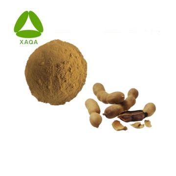 Tamarind Seed Extract Powder 10:1