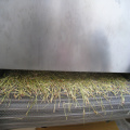 Pengering buah pengering Mesh-Belt profesional