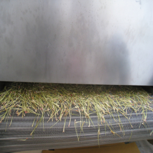 Pengering buah pengering Mesh-Belt profesional