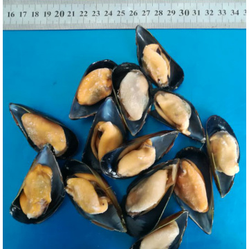 Frozen Cooked Half Shell Mussels Online