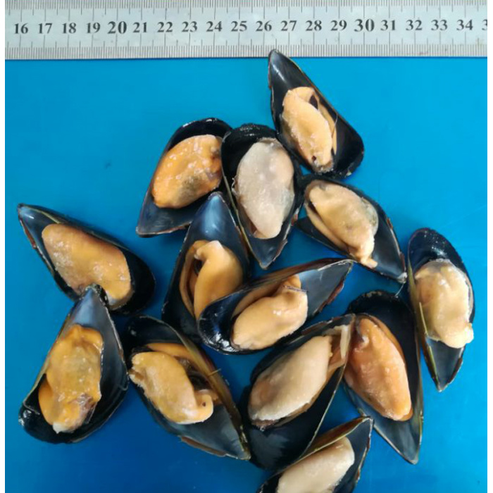 Gefroren gekochte halbe Muschelmuscheln online