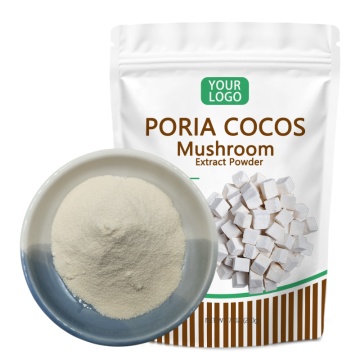 Zhongyiherbs Poria Cocos Mushroom Extract Powder