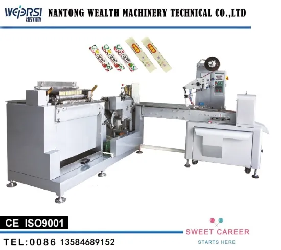 Wealth Gum Pillow Type Packing Machine