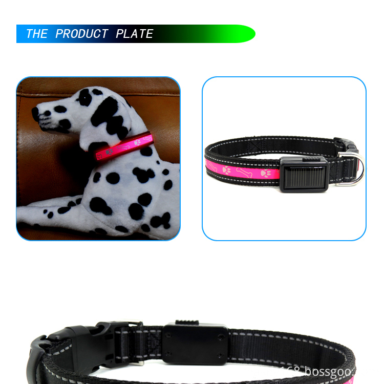 Led Shinning Dog Collar