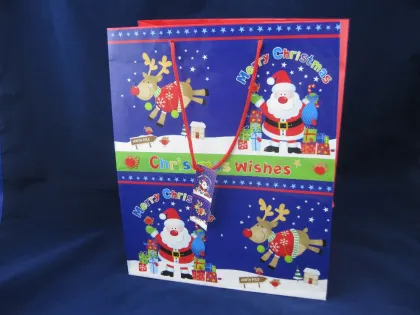 shopping bag clothing apparel bag accessory