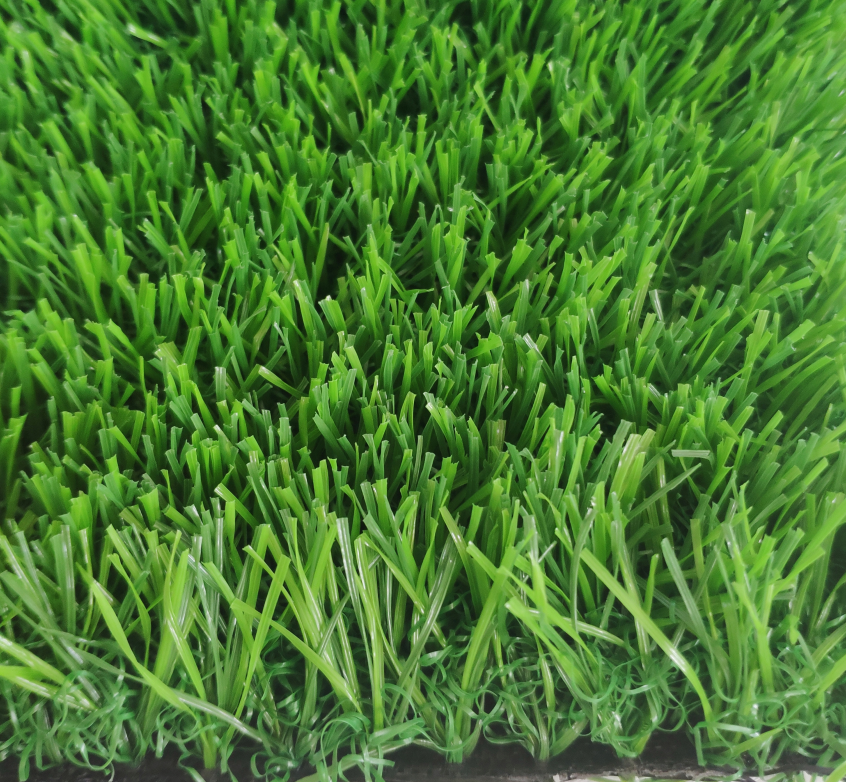 full green garden grass
