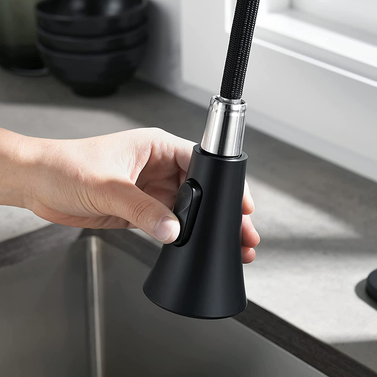 Robinet commercial de la cuisine noire mate mate avec pulvérisateur