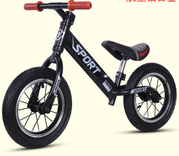 Lithium Battery Bike