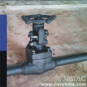 Forged Steel Needle Valve (J11)
