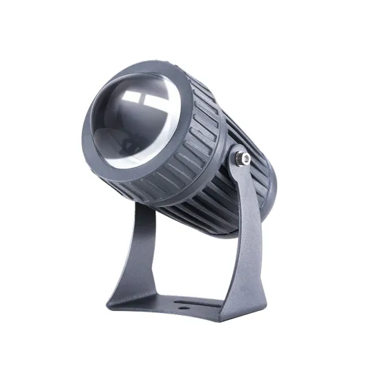 110V/220V 10W Waterproof LED Floodlight for Landscape, Street, Garden, and Square with Narrow Beam Angle