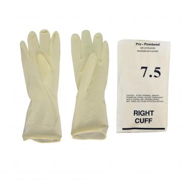 Latex Surgical Gloves with Power or Powder-free