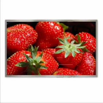 23.6 Inch M236HGE-L20 1920x1080 WLED LCD Display Panel
